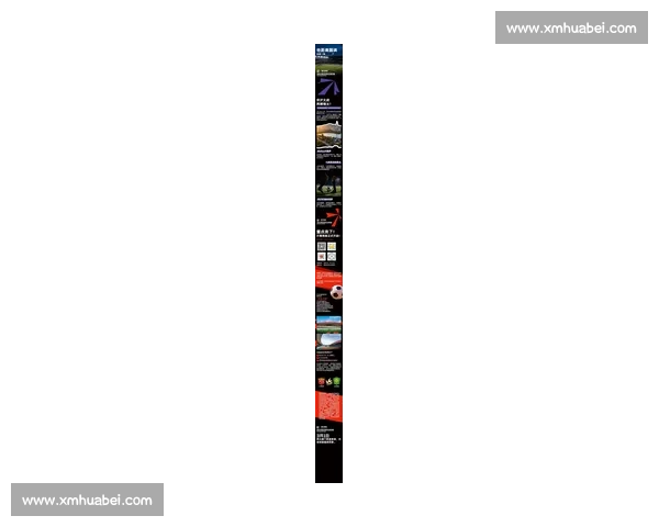 中国队比赛门票热销 赛事激情引爆球迷热情 预定抢先一步 中国队比赛门票热销 赛事激情引爆球迷热情 预定抢先一步